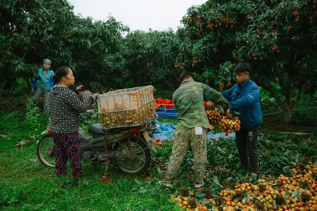 重庆道之源探照灯与应急灯技术优势及场景化方案定制